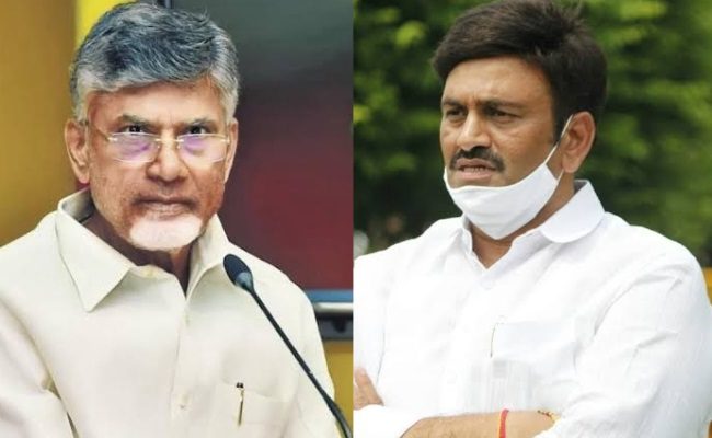 Raghuram Raju Is Adamant To Contest From Narsapur!