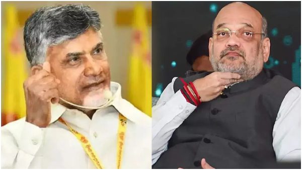 Chandrababu’s MP List A Slap On BJP Veterans!