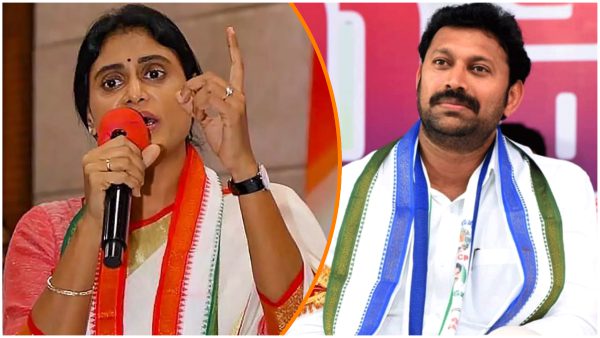 YS Sharmila Set To Contest Against Her Brother Avinash In Kadapa