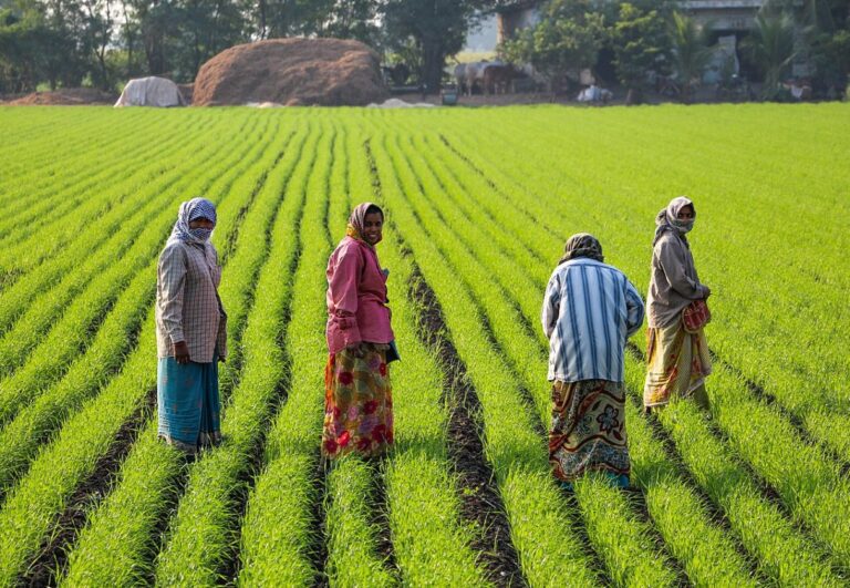 AP Sub-Committee Decides to Implement Comprehensive Crop Insurance for Farmers