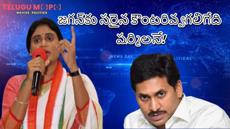 జగన్‌కు సరైన కౌంటరివ్వగలిగేది షర్మిలనే!