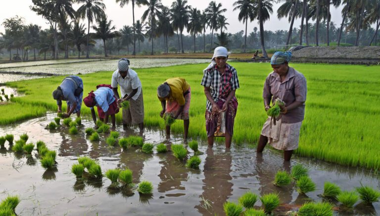 Amaravati farmers happy with receiving pending lease amount on Sankranti day