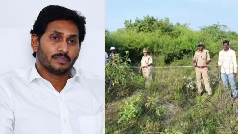 After Pawan Kalyan’s pressure, AP Govt. Cancels YS Jagan’s Saraswati Power Lands