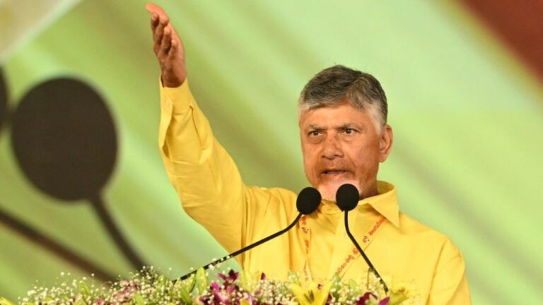 CM Chandrababu says At Mahanadu TDP came To power only Because of struggle By works