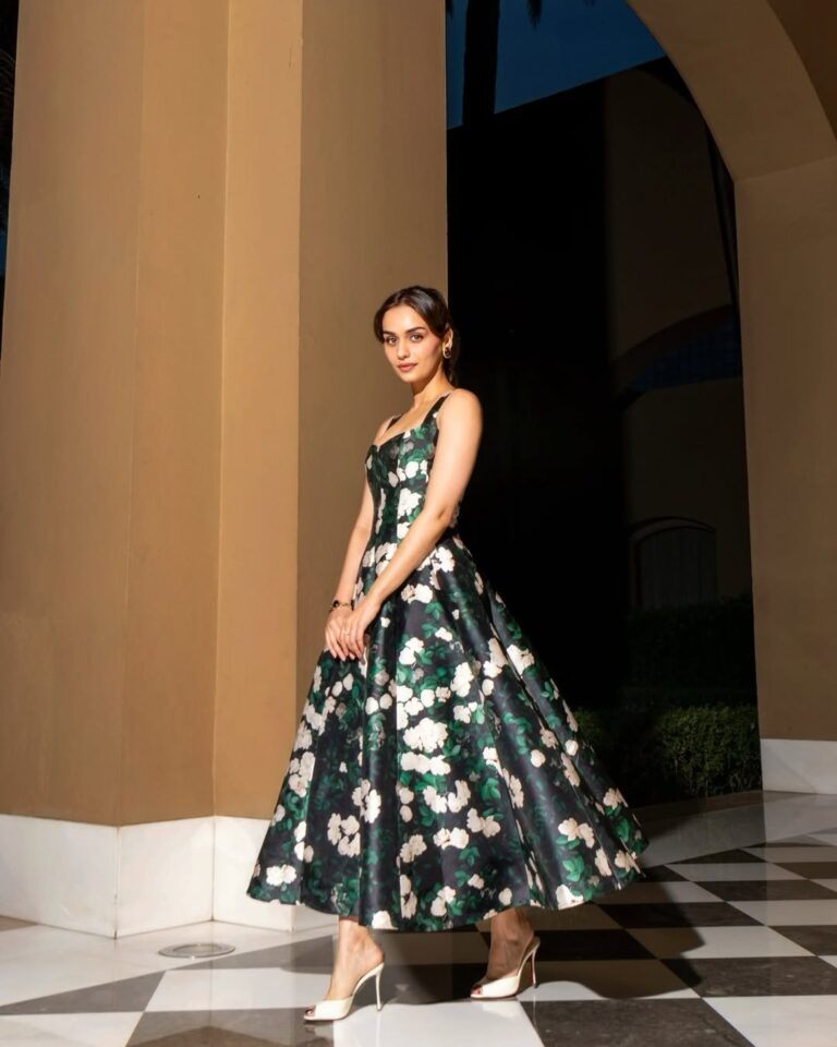 Manushi Chhillar
