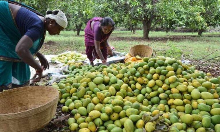 వైఎస్ జయంతి: తల్లికి ఎదురుపడకుండా జగన్ సెపరేట్ టైమింగ్!