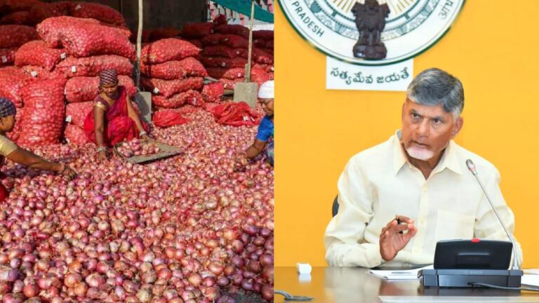 CM Chandrababu Announces To pay Rs 50,000 per Hectare To onion Farmers