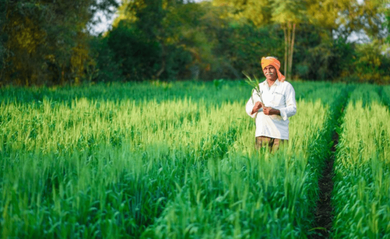 Central Scheme Puts Spotlight on Annamayya!