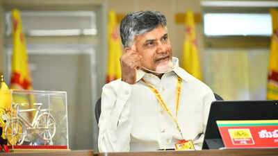 చంద్రబాబు రాజనీతి : జ్వాలలు చల్లారుతున్నాయ్!