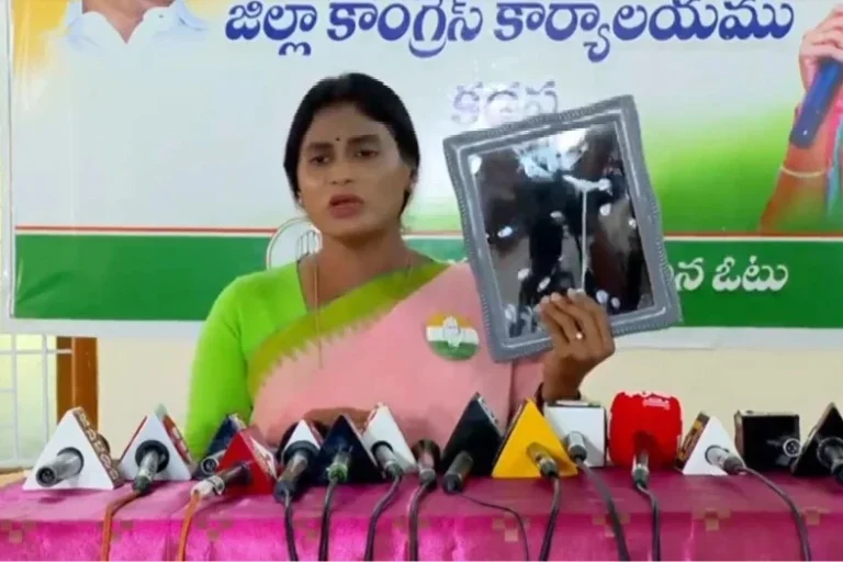 Sharmila Asks Jagan To See Only Chandrababu’s Face In The Mirror?