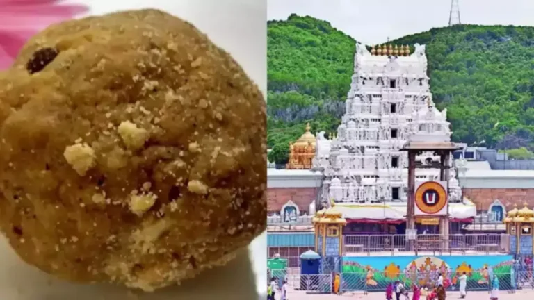 SIT Almost Identified perpetrators of Tirumala Laddu Ghee  Adultrators, Now Haunting For Mastermind Behind It