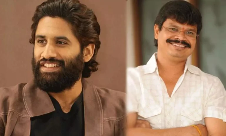 Boyapati Srinu And Naga Chaitanya To Join Forces For A Mass Entertainer?