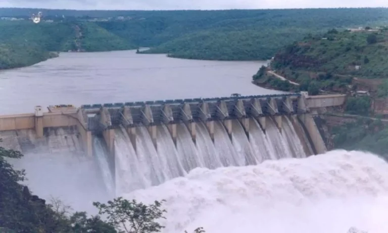 CM Chandrababu serious over plight of some structures In Srisailam Reservoir